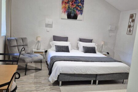 Studio 1 chambre, avec jardin