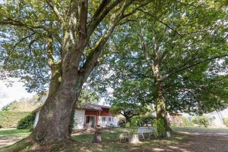 Maison 3 chambres, avec jardin
