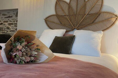 Maison de charme, 2 chambres, avec jacuzzi