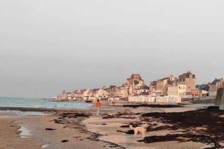 Maison 7 chambres, avec jardin