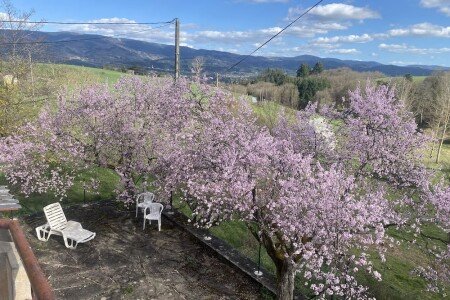 Maison 1 chambre, avec jacuzzi