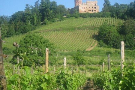 Ferienhaus 3 Schlafzimmer, mit Garten