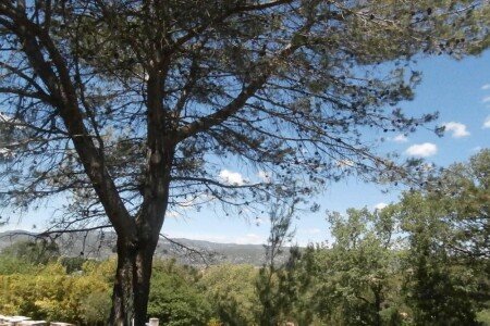 Appartement 1 chambre, avec piscine