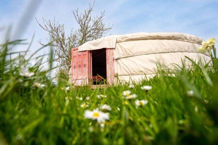 Camping / Mobil Home authentique, 1 chambre, avec jardin