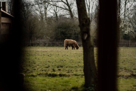 Chalet 1 bedroom, with jacuzzi