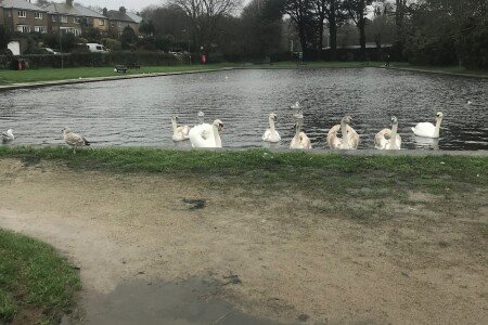 Bed and breakfast 1 bedroom, with wifi