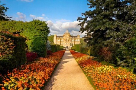 Château design, 12 chambres