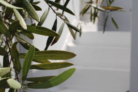 Duplex 3 chambres, avec wifi