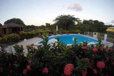 Maison de charme, 1 chambre, avec piscine