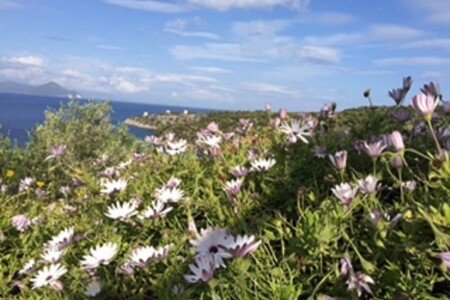 Maison traditionnelle traditionnelle, 2 chambres, avec jardin