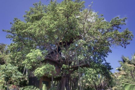 House 2 bedrooms, with garden