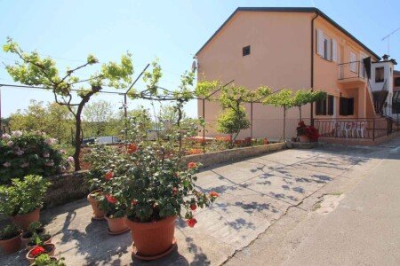Appartamento 2 camere, con giardino