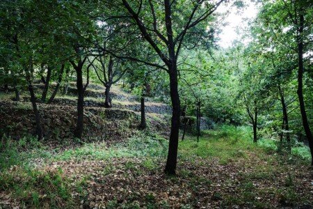 Bed and breakfast 1 camera, con idromassaggio