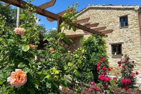 Casa 4 camere, con piscina