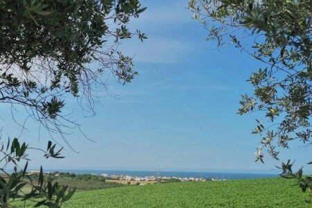 Bed and breakfast 1 camera