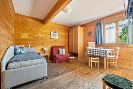 Appartamento 1 camera, con giardino