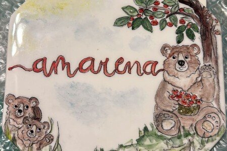 Appartamento 3 camere, con caminetto