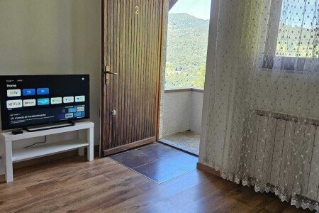 Appartamento 2 camere, con giardino