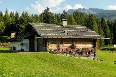 Appartamento 4 camere, con giardino