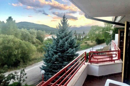 Appartamento 2 camere, con caminetto