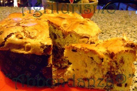 Bed and breakfast 1 camera, con piscina