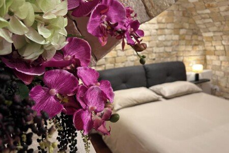 Bed and breakfast 1 camera, con aria condizionata