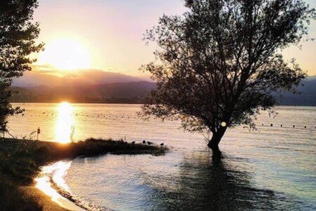 Appartamento 1 camera, con aria condizionata