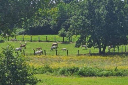 Bed and breakfast 1 camera, con palestra