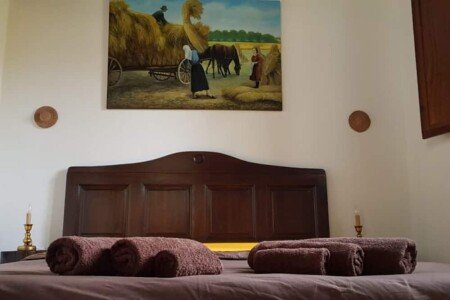 Appartamento 1 camera, con giardino