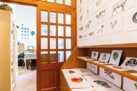 Bed and breakfast 1 camera, con aria condizionata