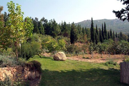 Casa 1 camera, con giardino