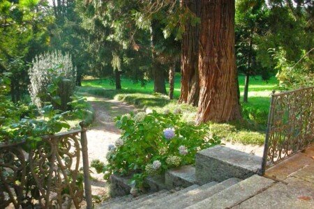 Casa 4 camere, con giardino