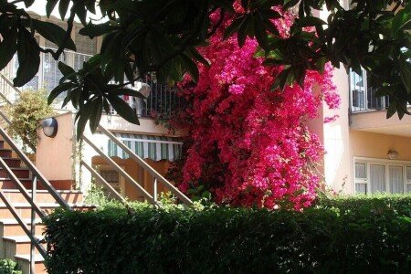 Appartamento 3 camere, con piscina