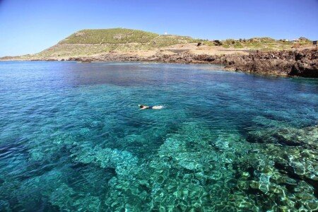 Gîte 3 chambres, avec jardin