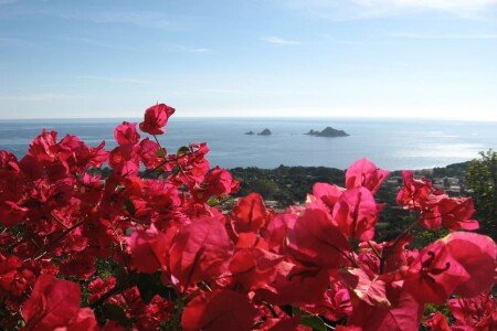 Appartamento 2 camere, con giardino