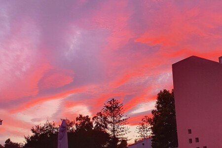 Villa 4 camere, con piscina