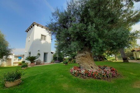 Bed and breakfast 1 camera, con giardino