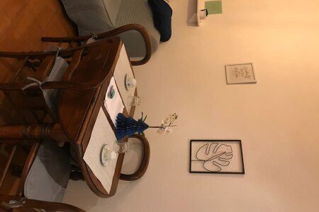 Appartamento 1 camera, con giardino