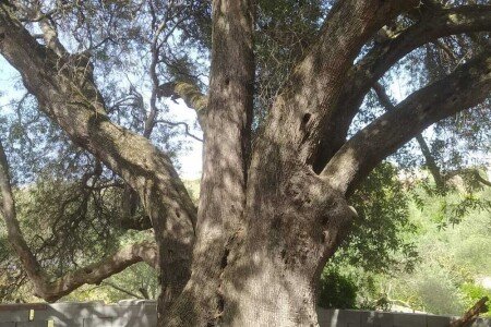 Casa 3 camere, con idromassaggio