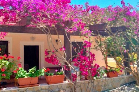 Villa 2 camere, con giardino