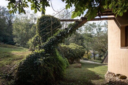 Bed and breakfast 6 camere, con piscina