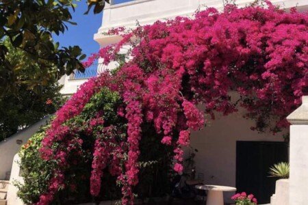 Gîte 4 chambres, avec jardin