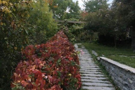Appartamento 1 camera, con giardino