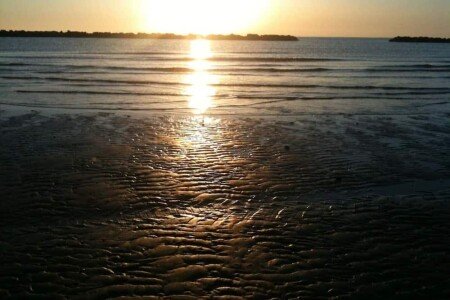 Gîte 1 chambre, avec jardin