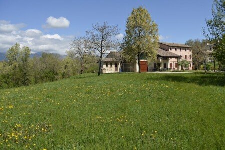 Appartamento 2 camere, con giardino