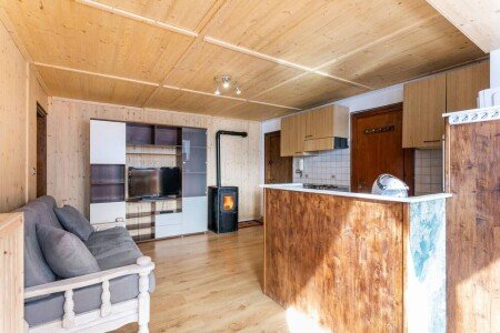 Appartamento 2 camere, con caminetto