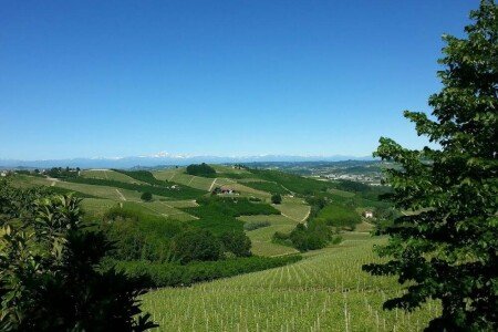 Casa 3 camere, con giardino