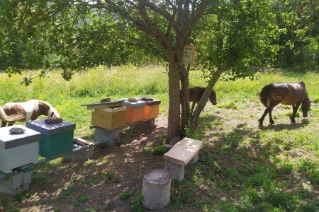 Casa 2 camere, con idromassaggio