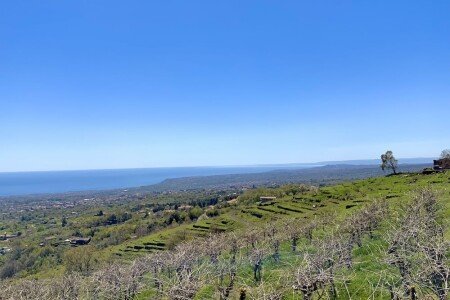Casa 2 camere, con giardino