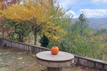 Casa 2 camere, con giardino